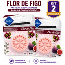 Pastilhas Aromáticas Antibacterianas para Ar-Condicionado – Frescor e Proteção